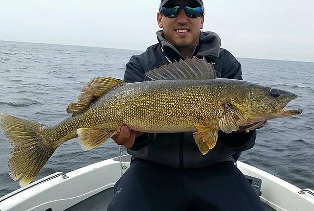 10897791 10102173264010498 5240336751552482363 n