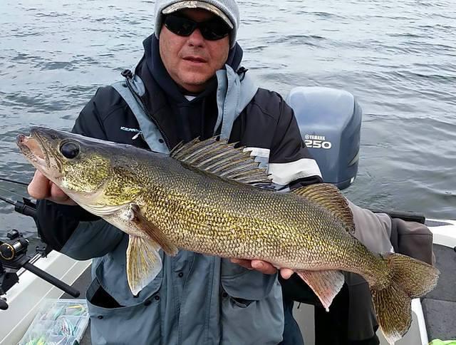 10956585 10102159794308888 3570512556628557307 n