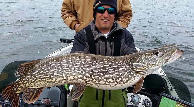 11012682 10102169958869028 46049564317919143 n