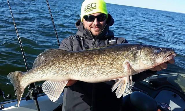 11017217 10102158987380978 4609931451825473620 n