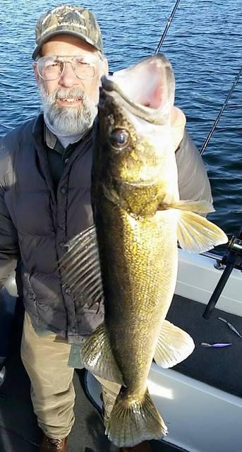 11051975 10102163598964328 912822871847064174 n