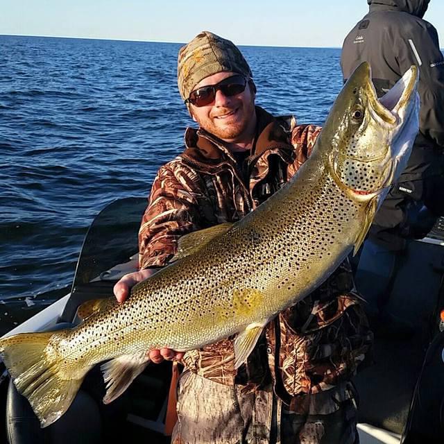 11129685 10102158986946848 9054405072435721155 n