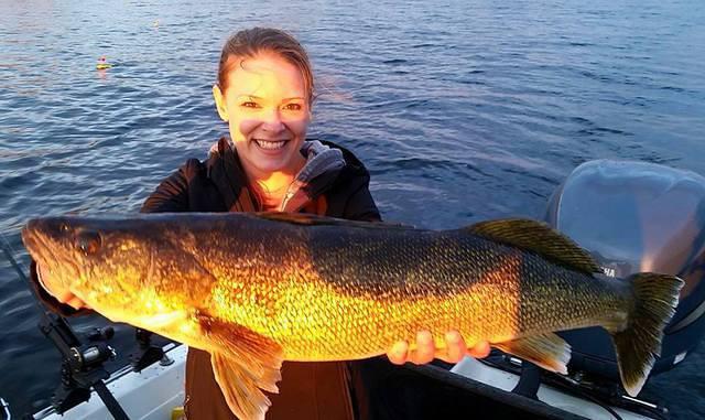 11136752 10102168302857688 4181684242239986188 n