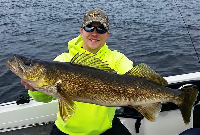 11139455 10102173263825868 6251229083601446068 n