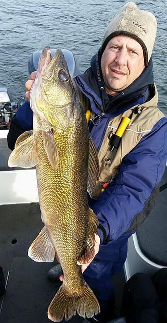 11156192 10102155587594178 2855098025579666747 n