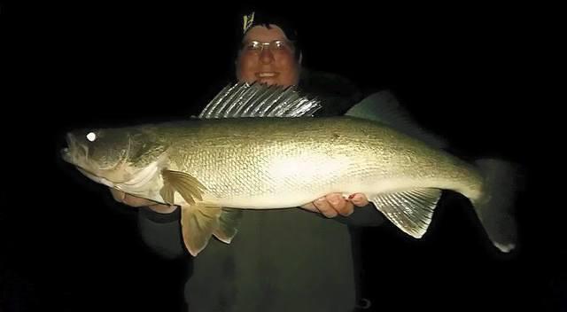 11175021 10102161750488688 8578621837952795197 n