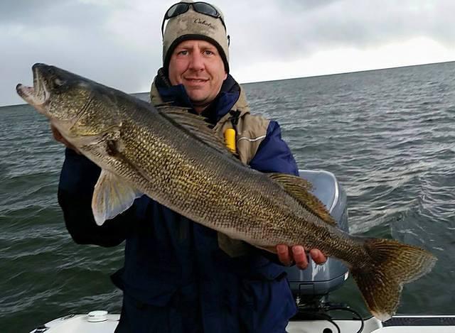 11182075 10102157391274588 5477283124918377761 n