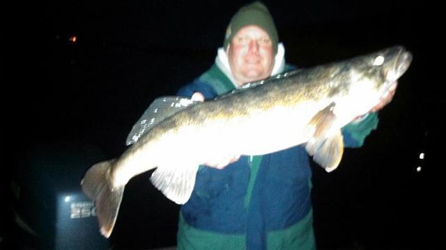 11lb walleye