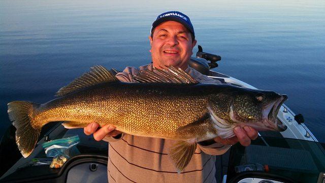 Toad caught trolling in deep watter durring the day