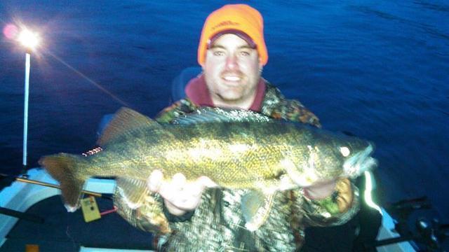 Nice walleye