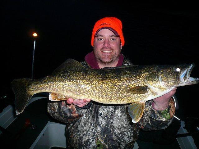Nice walleye