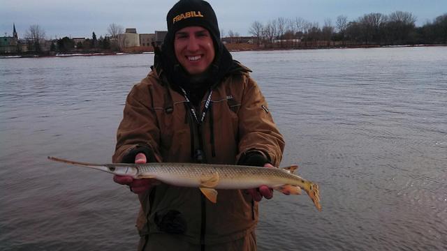 Gar on Fox river