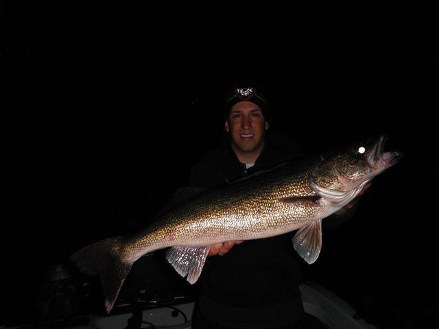 Nice night walleye