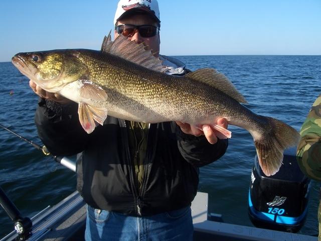 Sturgeon bay daytime eye