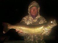 Sturgeon bay walleye April