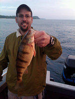 14 inch perch sturgeon bay