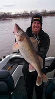 April Fox River Walleye jigging april 2013