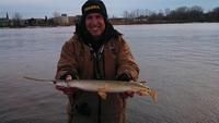 Gar on Fox river