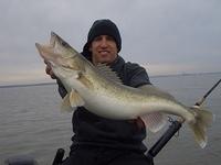 Fox River Spring Walleye March