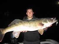 33 inch 13lb walleye 2013